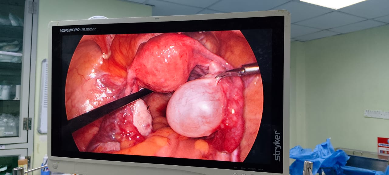 WhatsApp Image 2025 08 21 at 12.58.15 f12aa8ab