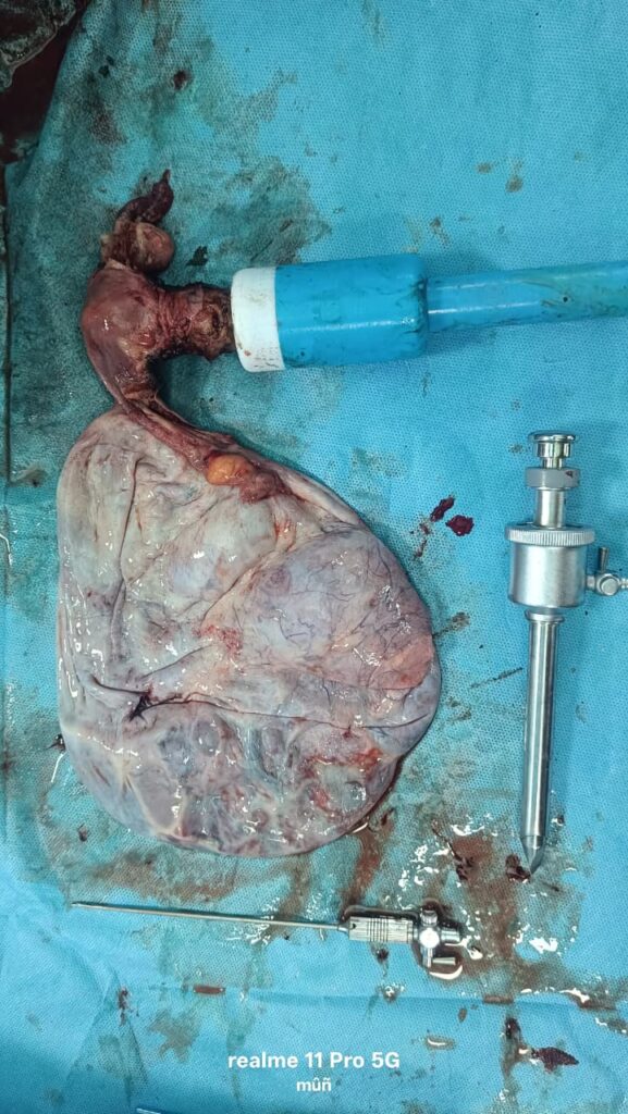 WhatsApp Image 2026 03 26 at 12.22.31 PM